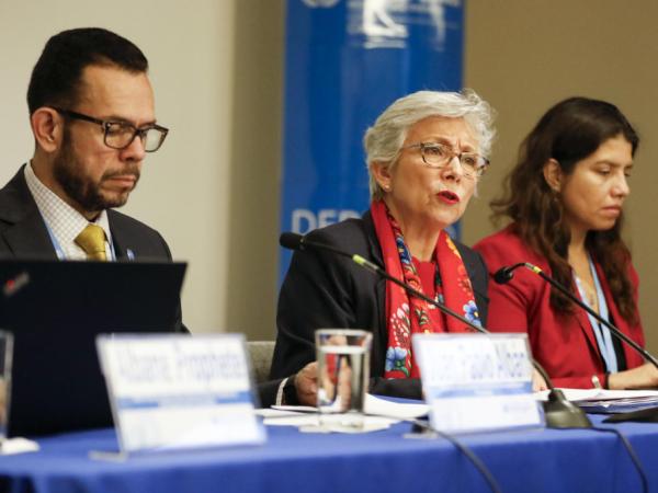 Comité de la ONU para la Desaparición Forzada