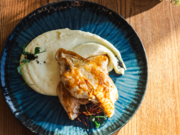 Pollo