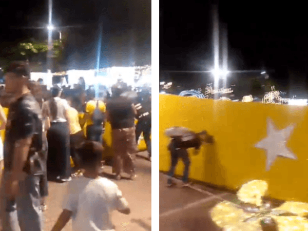 Auxiliar de Policía muere tras caída de un árbol en Girardot | Regiones | Economía