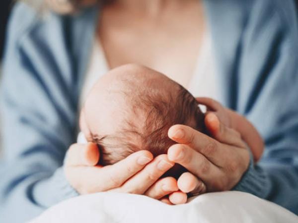 Cerca del 44% se han reducido los nacimientos en Colombia: Registraduría | Crecimiento | Economía