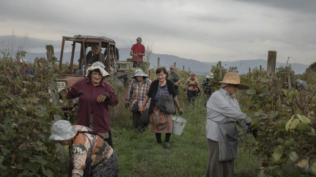 Estallan protestas en Georgia tras el alejamiento del camino prooccidental