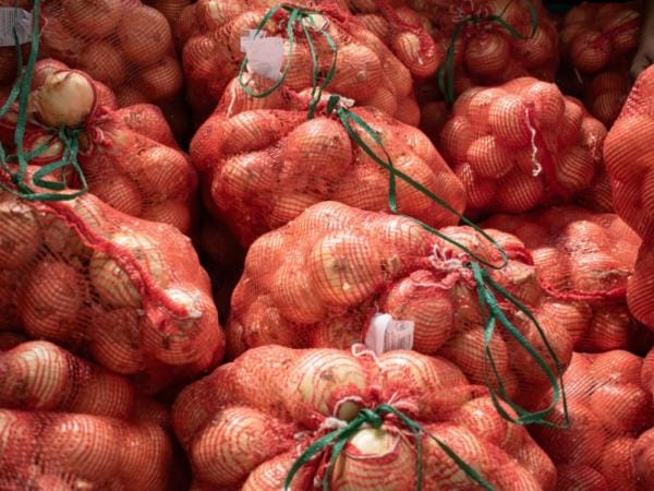 Gobierno refuerza controles para proteger a productores de cebolla en la frontera con Ecuador | Agro | Economía