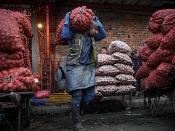 Inflación en Colombia: ¿qué tan probable es que acabe el 2024 por debajo de 5%? | Crecimiento | Economía