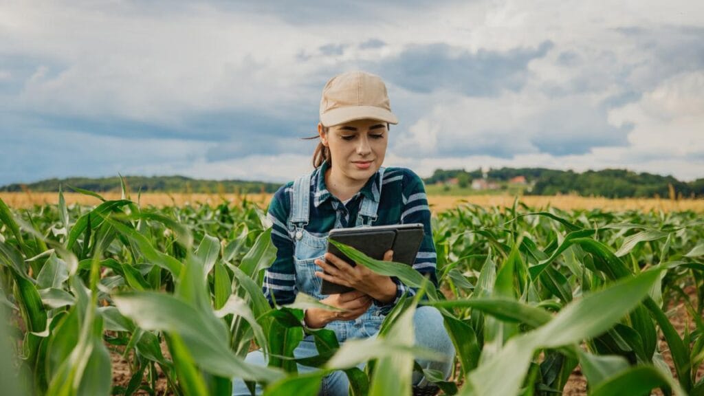 Los retos de cerrar las brechas digitales en América Latina