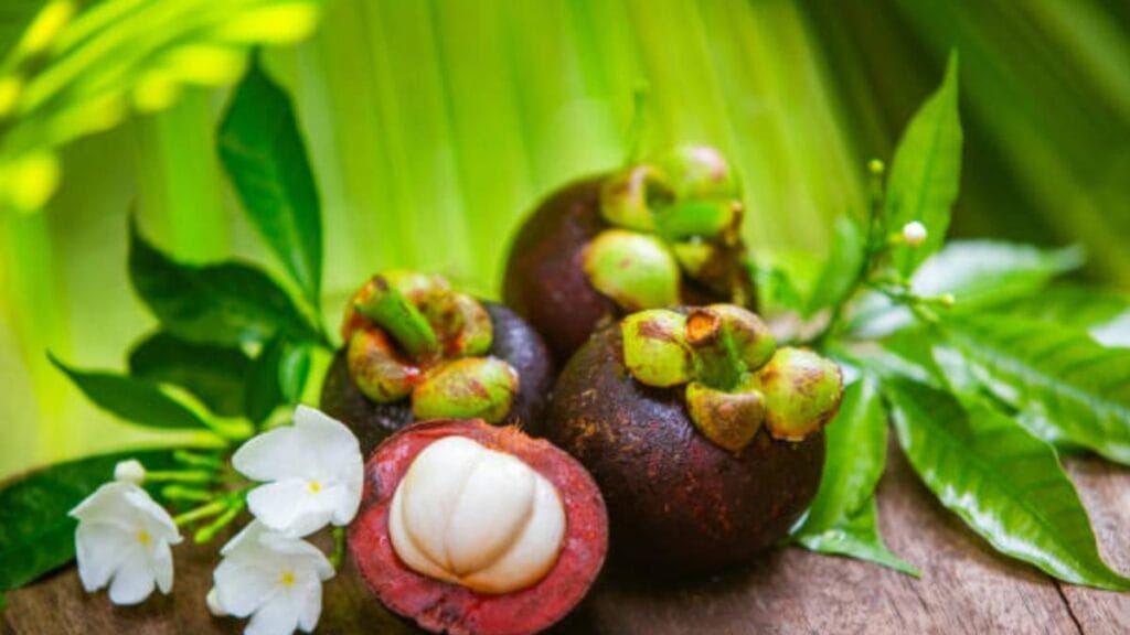 es famosa por su sabor único y propiedades antioxidantes