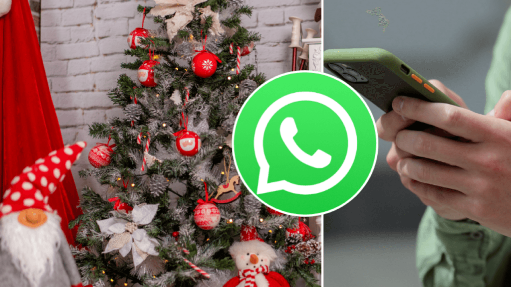 guía del paso a paso para hacerlo