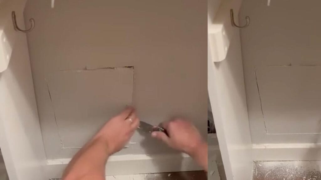 Escuchó un ruido extraño en su casa y quedó sin palabras al ver lo que había detrás de la pared