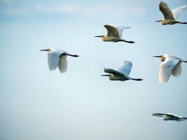 Estas son las proyecciones de la economía colombiana en el 2025 | Revista Portafolio