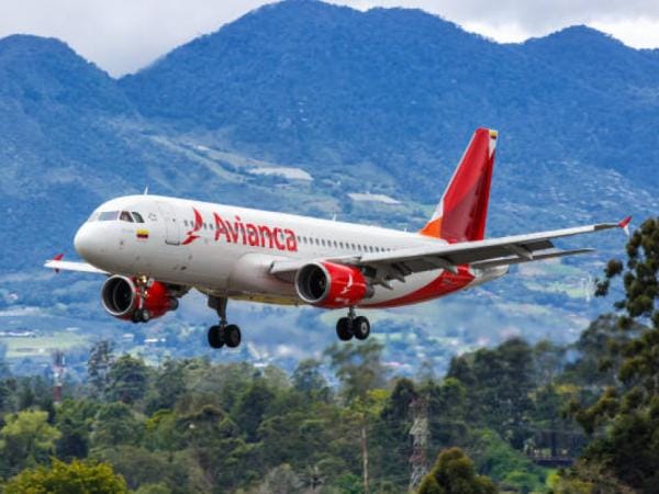 ¿Busca trabajo para 2025? Avianca tiene 4 vacantes disponibles para expertos | Empleo | Economía