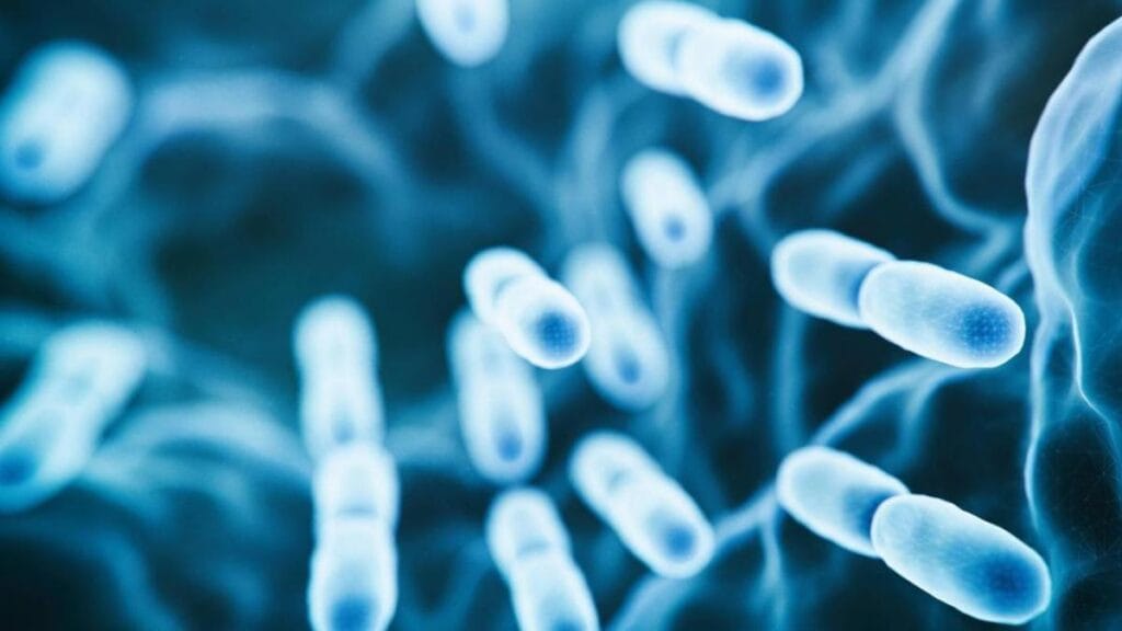 ¿Qué no debo tomar si estoy ingiriendo melatonina?