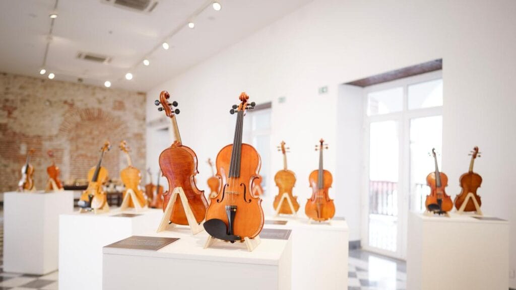 ¿se puede estudiar en el país?