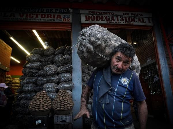 En enero del 2025 disminuyó 3,6% el valor de la canasta básica familiar en Colombia | Finanzas | Economía