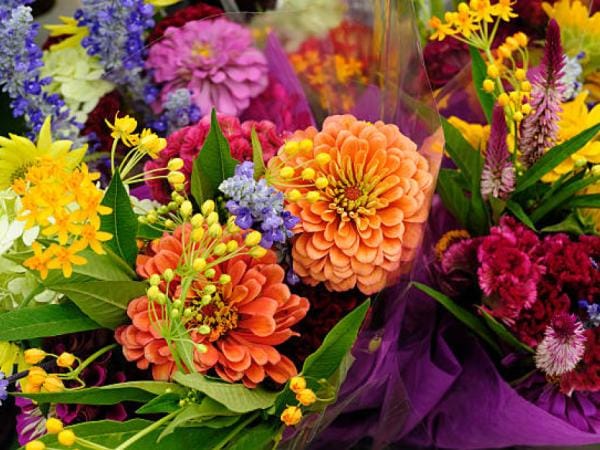 Esta es la flor colombiana 'más codiciada' del mundo | Agro | Economía