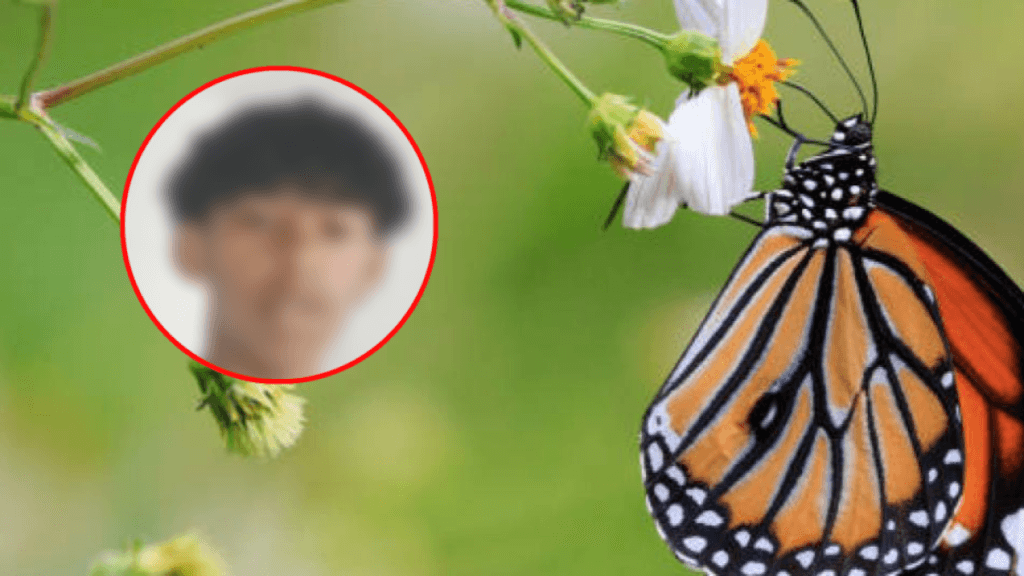 Joven habría muerto en Brasil tras inyectarse fluido de una mariposa por un reto viral