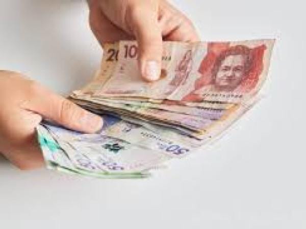 La Banca de Desarrollo Territorial anunció la adición de $4,9 billones | Economía