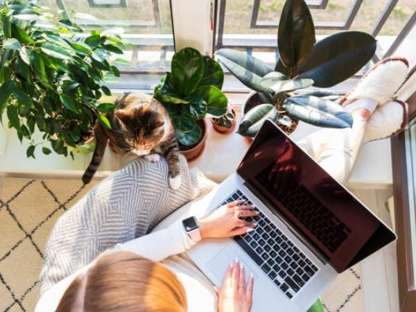 Si cursa algiuno de estos programas, la posibilidad de tener una buena remuneración bajo esta modalidad de empleo puede aumentar. | Empleo | Economía