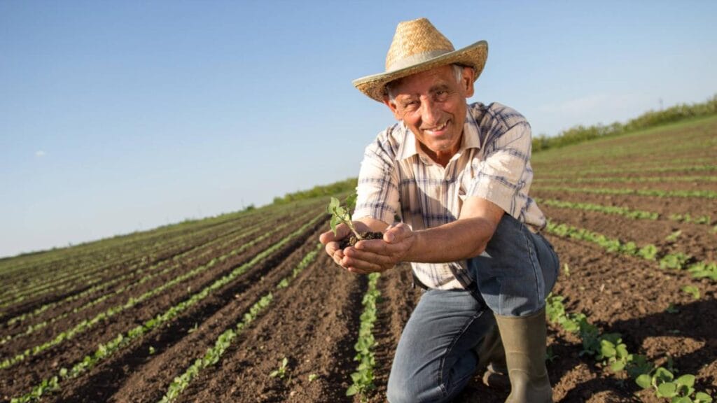 ¿Cómo me puedo ir a Estados Unidos a trabajar en el campo?
