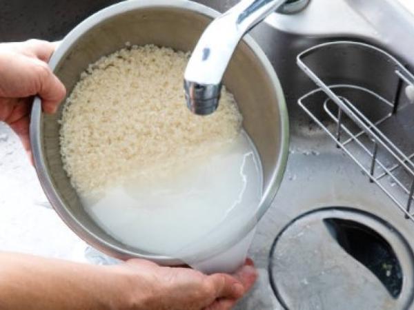 Fedearroz ha trabajado en la capacitación de los productores en el uso eficiente de insumos.