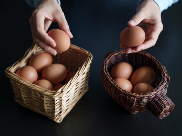 Lo que cuesta comprar huevos en Colombia con relación a otros países | Agro | Economía