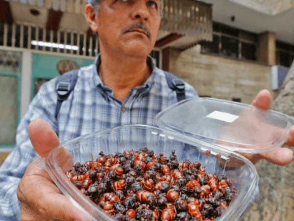 Lo que hacen las zonas del país para defender las críticas a sus platos típicos | Regiones | Economía