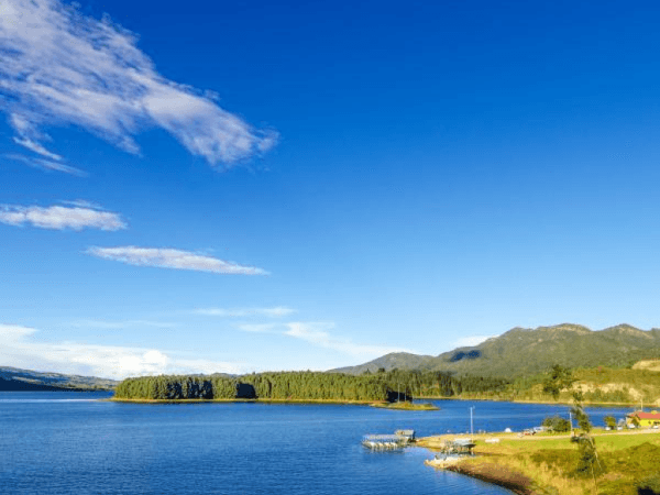 Suspenden resolución del Minambiente para ordenamiento de la Sabana de Bogotá | Regiones | Economía