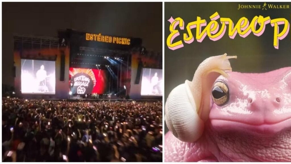 actividades imperdibles y recomendaciones para disfrutar al máximo