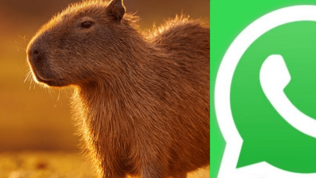 así puede personalizar el ícono