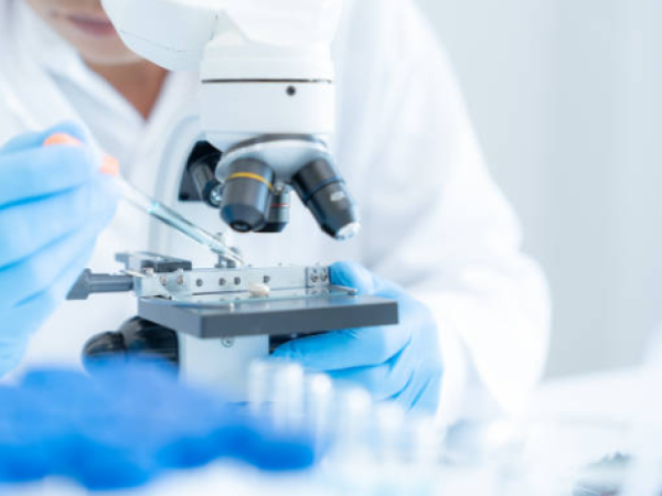 Sistema de salud