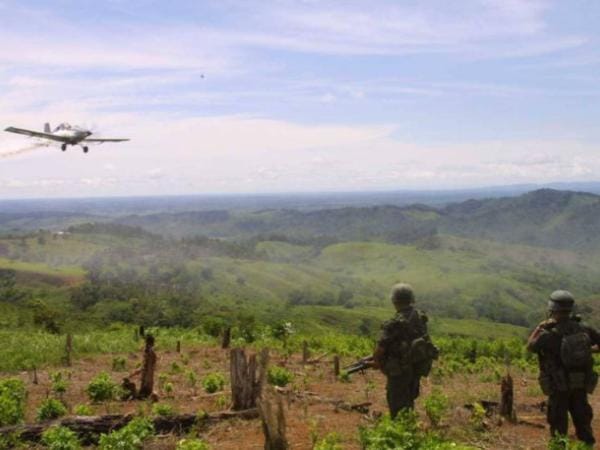 Colombia piensa de nuevo en el glifosato para erradicación terrestre de cultivos de coca | Gobierno | Economía
