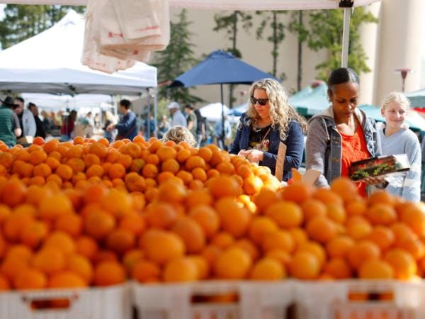 Guerra comercial: quién responde por los impactos de los aranceles de Estados Unidos en la economía nacional | Análisis | Finanzas | Economía