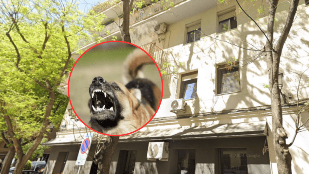 Hombre fue encontrado sin vida dentro de su casa en extrañas circunstancias; su perro se comió parte de su cuerpo