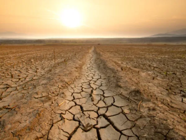 Cambio climático