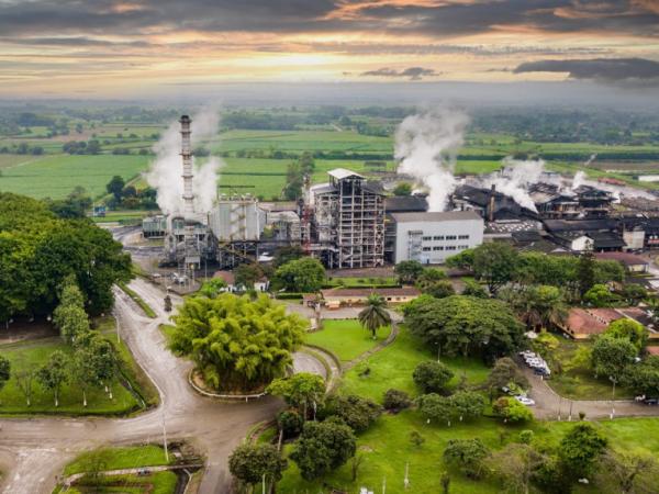 Industria de la caña