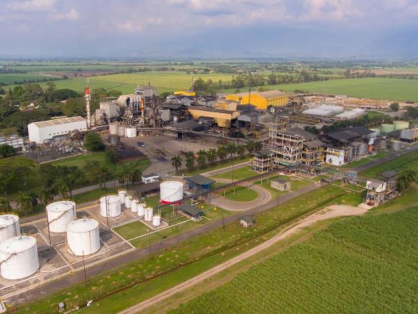 Industria de la caña