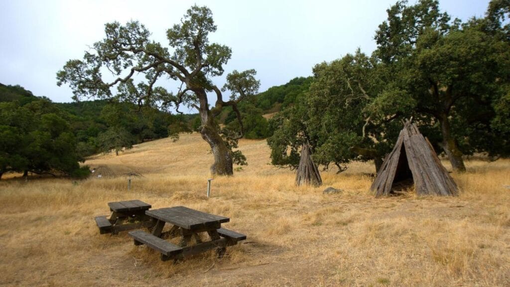 Esta nueva ley de California impactará en el turismo: atención, amantes del camping