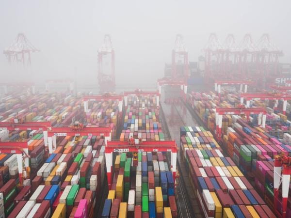 La ganadería, no: la actividad que más creció en Colombia en el primer trimestre 2025 | Crecimiento | Economía