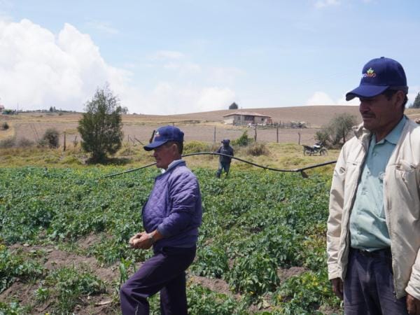 Ministerio de Agricultura subsidia seguros agropecuarios con $128.000 millones en 2025 | Agro | Economía