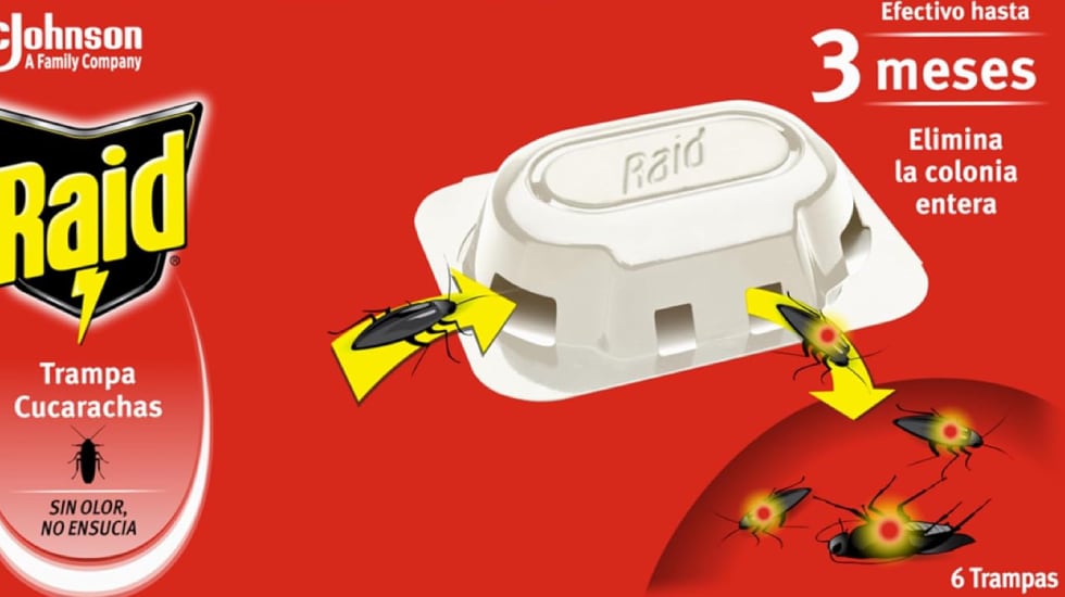 Seis cebos para eliminar cucarachas y huevos.