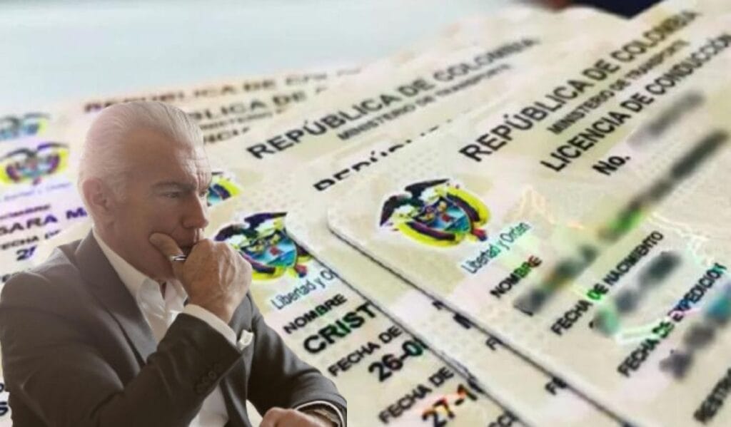 Licencia de conducción y persona adulta