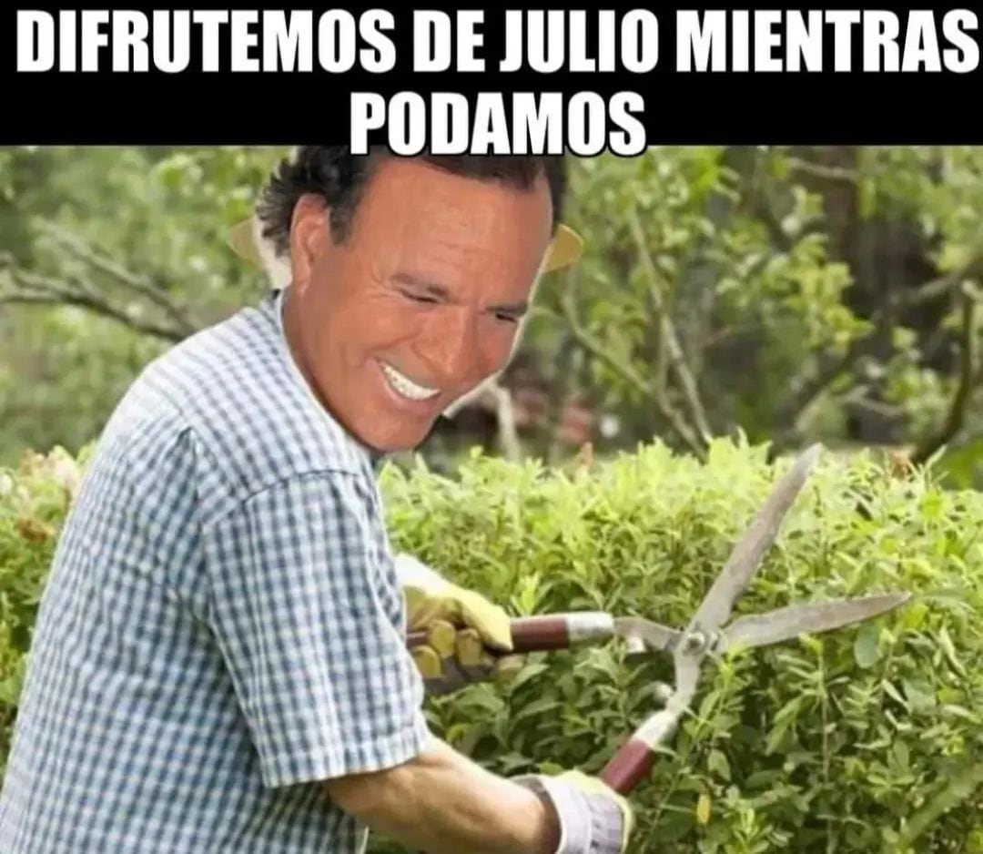 Usuarios de redes sociales despiden el mes con memes de Julio Iglesias. (Facebook)
