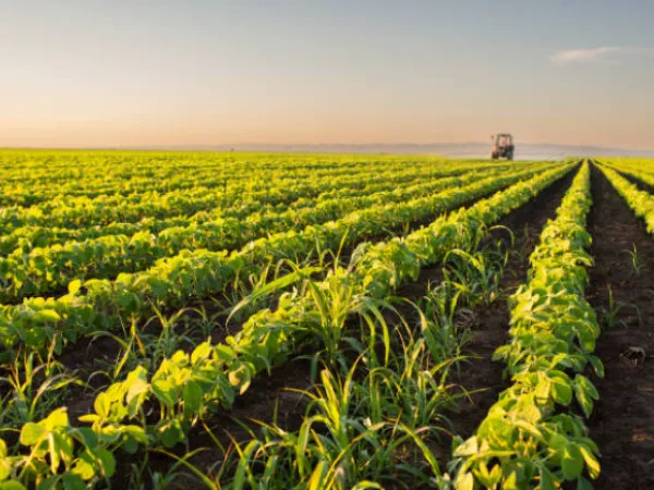 AGRO