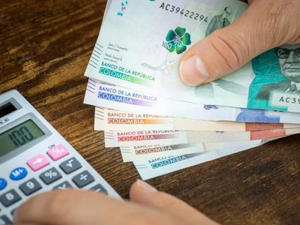 El 20% de la cartera de crédito es verde o sostenible | Finanzas | Economía