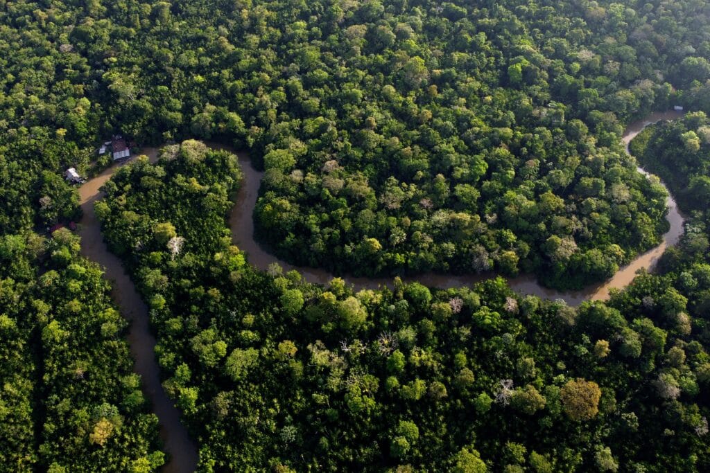 La Amazonía representa el mayor bosque tropical continuo del mundo, contiene el 20 por ciento del agua dulce superficial del planeta (AP Foto/Eraldo Peres)