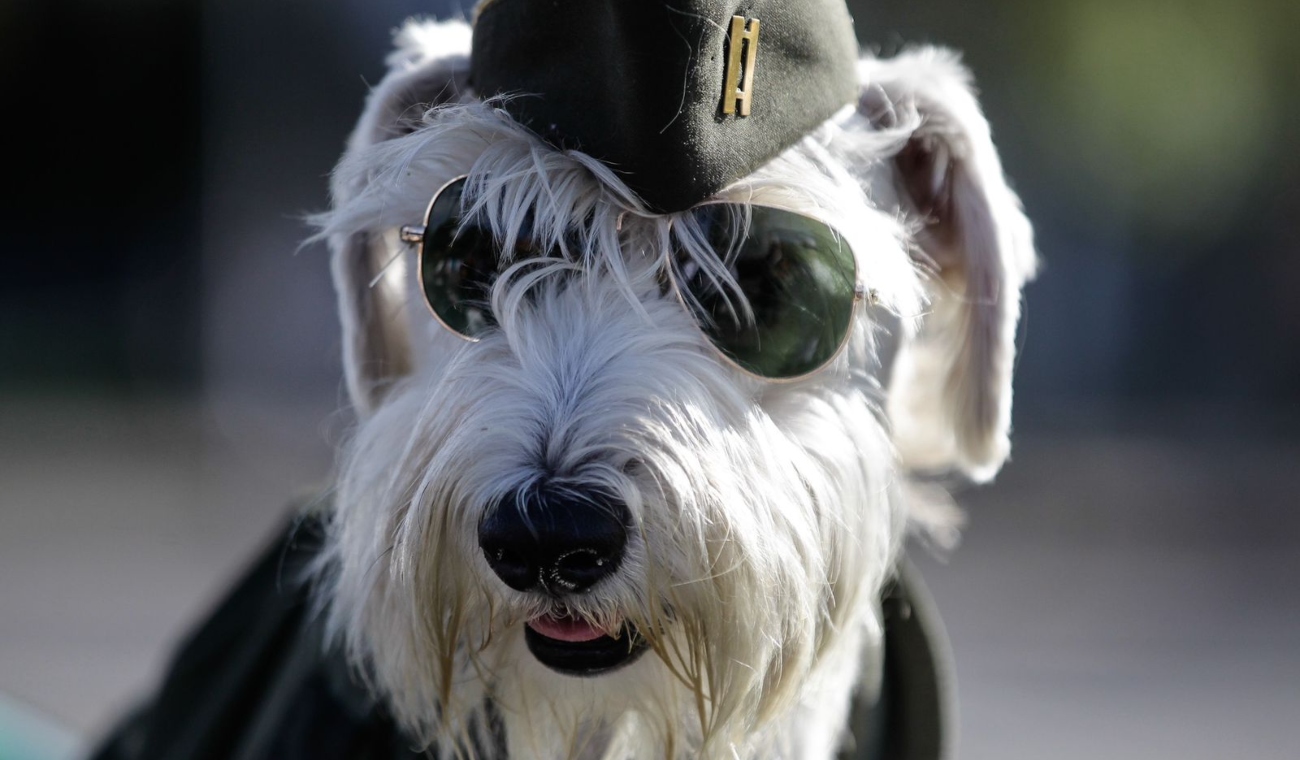 Desfile del 20 de julio de 2025 Bogotá