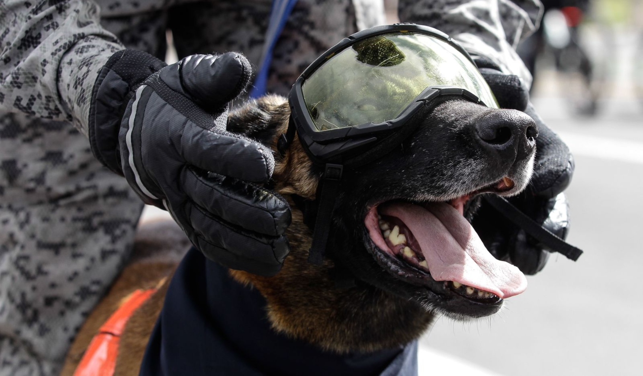 Desfile del 20 de julio de 2025 Bogotá