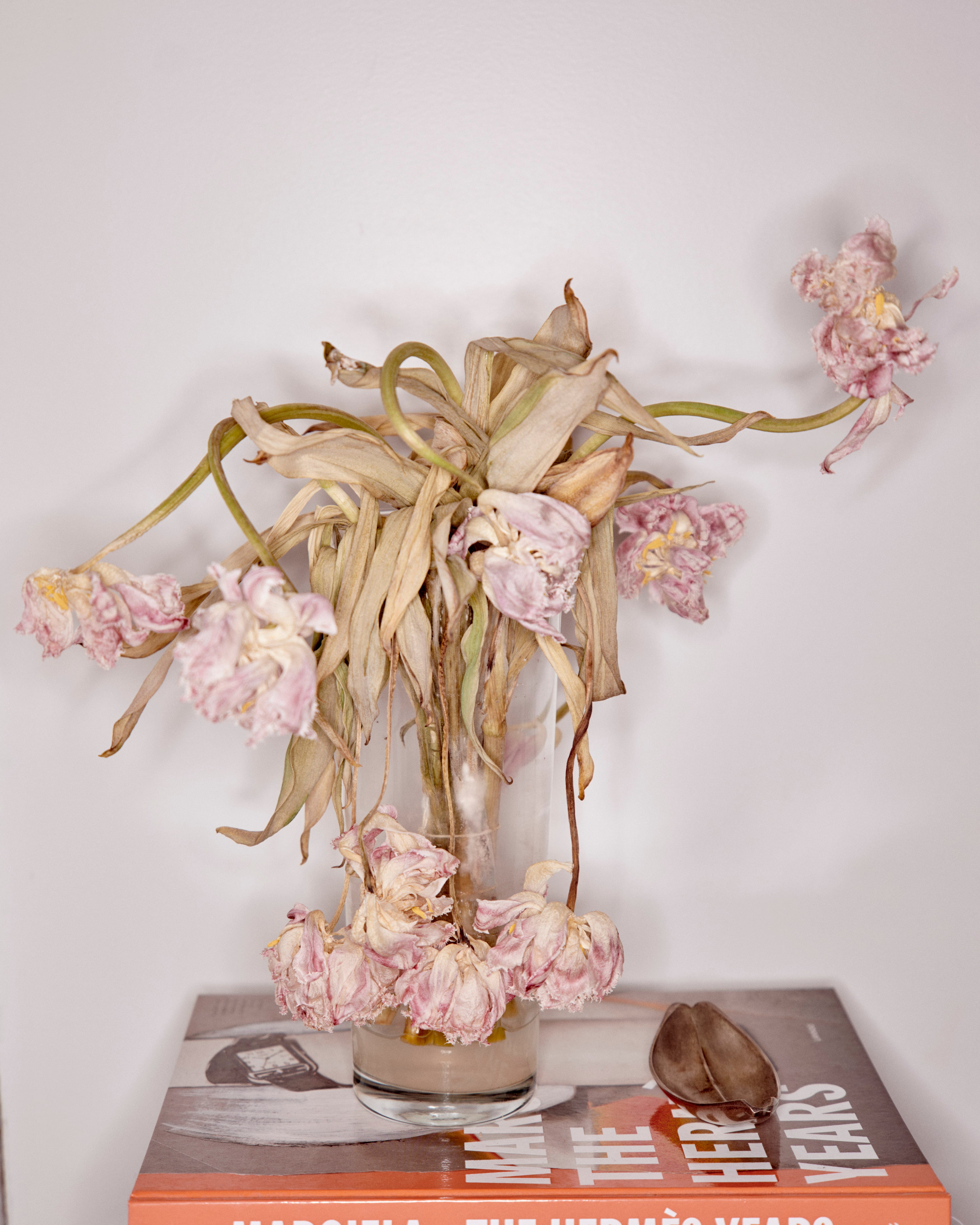 Flores secas y un catálogo de moda en un rincón del estudio de Carlota Barrera.