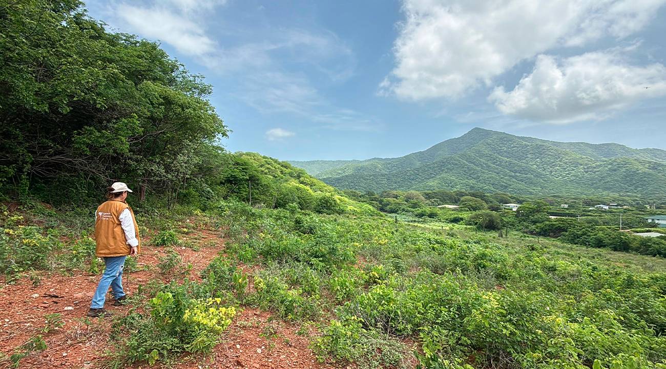 ANT / Contenido Patrocinado