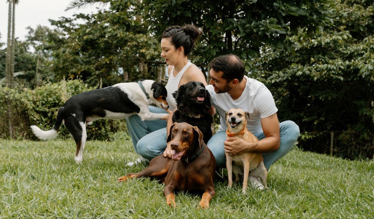 Dueños de perros y multas en conjuntos residenciales