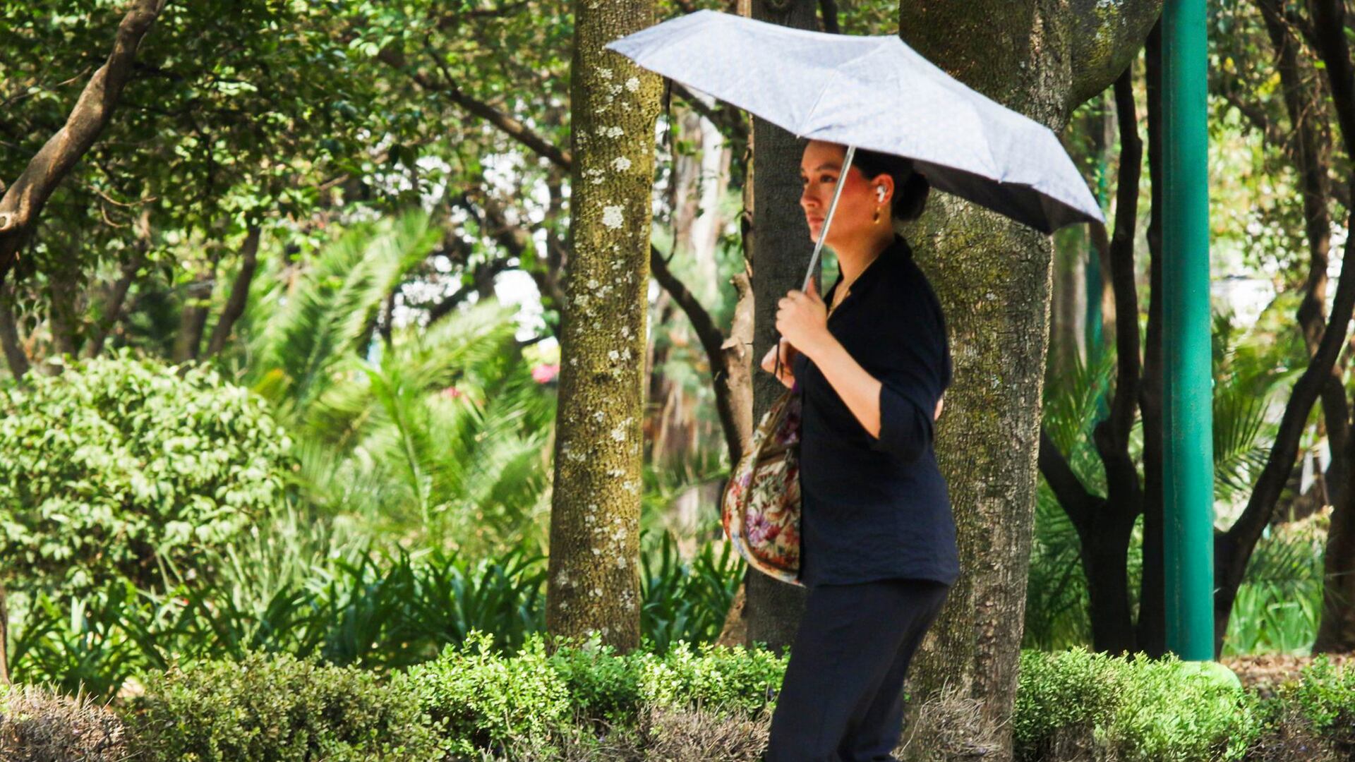 Estas 11 alcaldías de la Ciudad de México registran altas temperaturas para este miércoles 14 de mayo (Cuartoscuro/Victoria Valtierra Ruvalcaba)