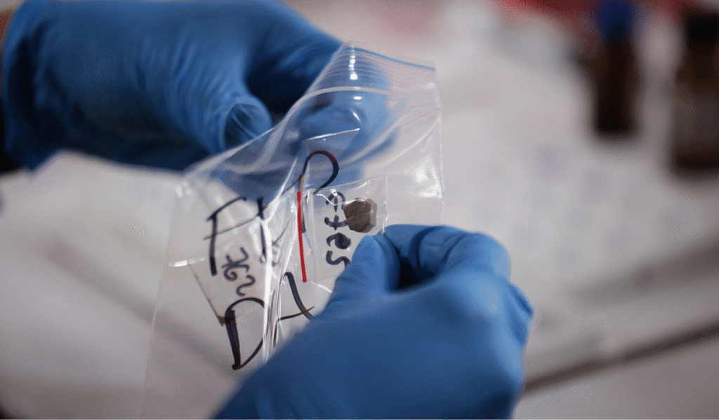 Así funciona DroguIA, la nueva IA para reducir riesgos en el consumo de drogas